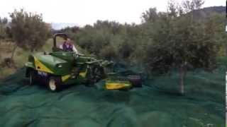 MACCHINA RACCOLTA OLIVE  SICMA B411 66 CV