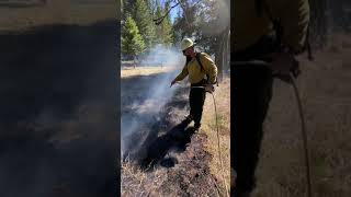 Simple hose lay and parts of a fire.