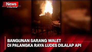 Bangunan Sarang Walet di Palangka Raya Ludes Dilalap Api, Polisi Selidiki Penyebab Kebakaran