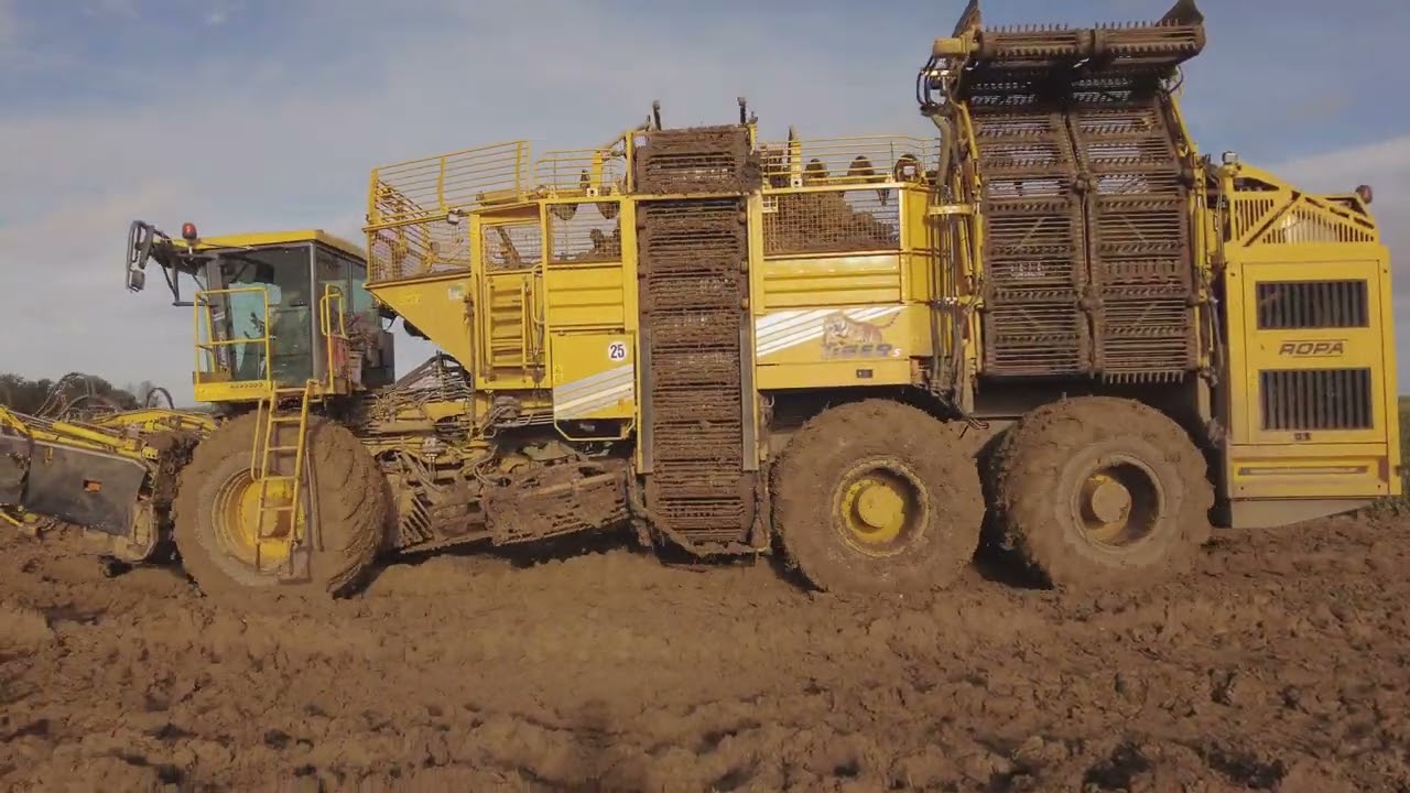 Arrachage de betteraves en conditions difficiles avec une Ropa / Ropa Harvesting Beets in the mud