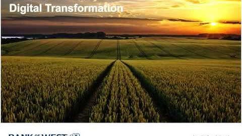 Banks’ Transformation into Digital Businesses