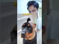DOGGY KA NEW STYLE! 😂 | Funny Dog Haircut Reaction | #TrendSeeker #shorts