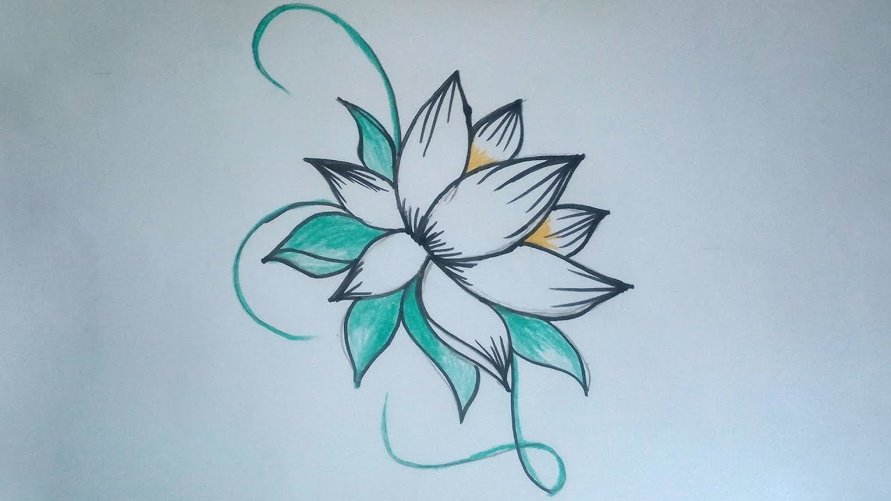 most beautiful flower drawings