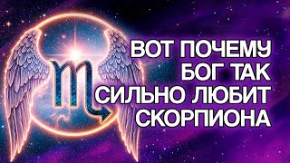 видео: 12 Духовных Причин, Почему БОГ Глубоко Любит Знак СКОРПИОН картинка: 12 Духовных Причин, Почему БОГ Глубоко Любит Знак СКОРПИОН