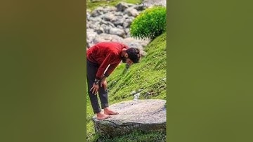 اجمل تلاوة  من سورة القصص ..  محمد ربيع
