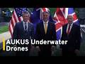 AUKUS Launches Joint Undersea Drone Project|TaiwanPlus News