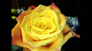HISIMAGE(, 2014-10-18T00:12:47.000Z)