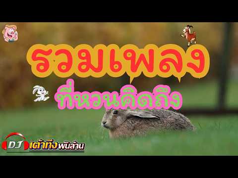 อัลบั้มรวมเพลงที่หวนคิดถึง     #รวมเพลงลูกทุ่ง    #เพลงเพราะ    #เพลงดัง