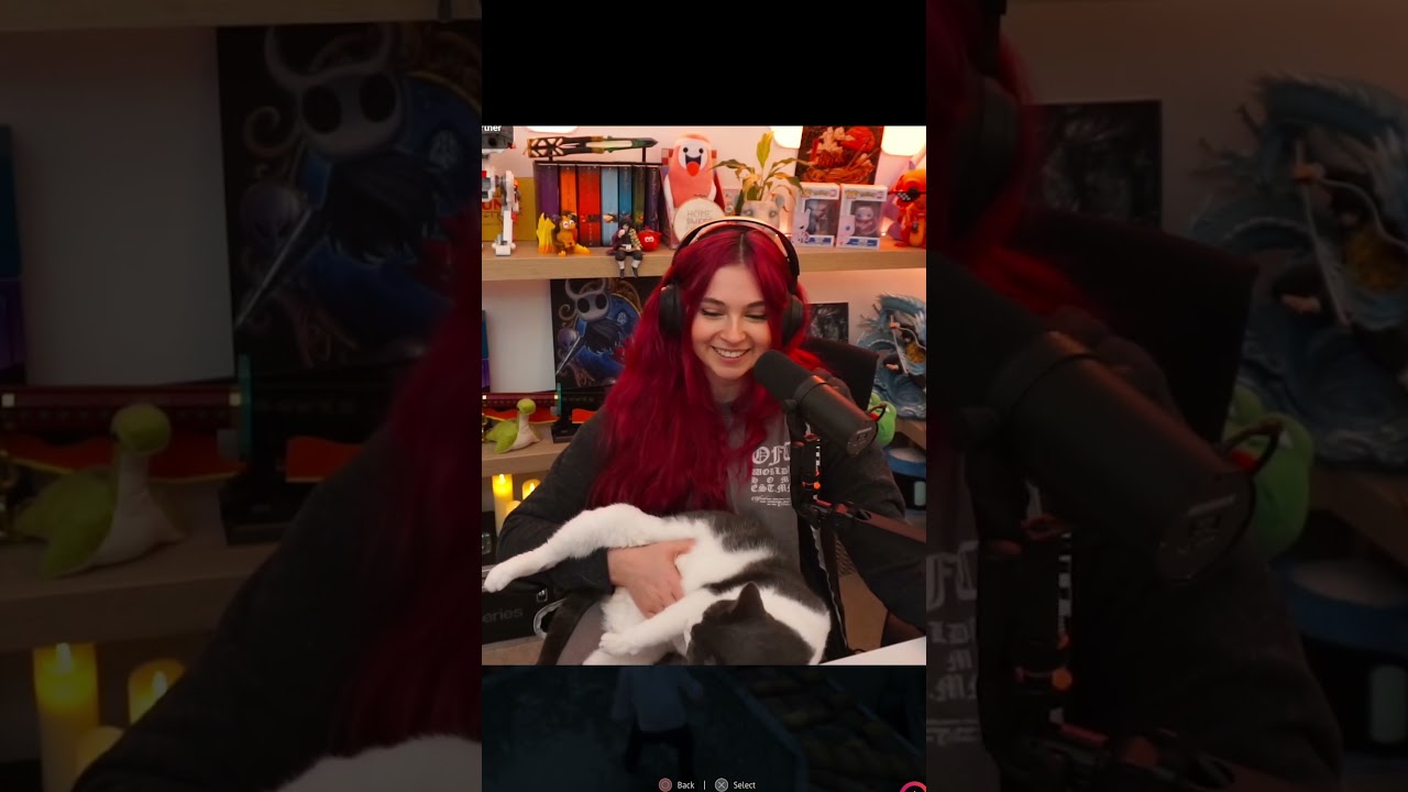 I love when Molly does this on stream 😊 #molly #cat
