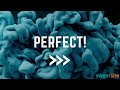 Sweetsite Free Website, Ecommerce and Marketing course - Website Widgets - Add Portfolio to Website