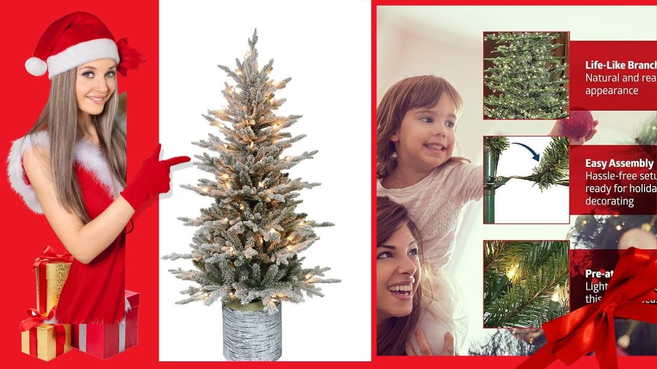 Lit Potted Flocked Arctic Fir Artificial Christmas Tree 2024 YouTube