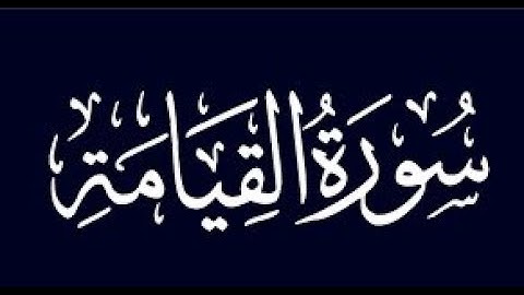 سورة القيامة - حامد حلمي