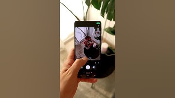 Macrophotography on the new Motorola Edge #shorts #tutorial #motorola #photography