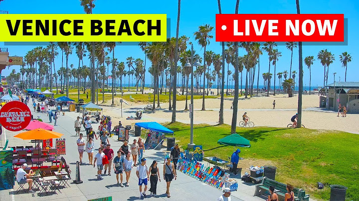 🔴 Los Angeles Live Stream ·Venice Beach Live Camera ·  Venice V Hotel Live · California Webcam
