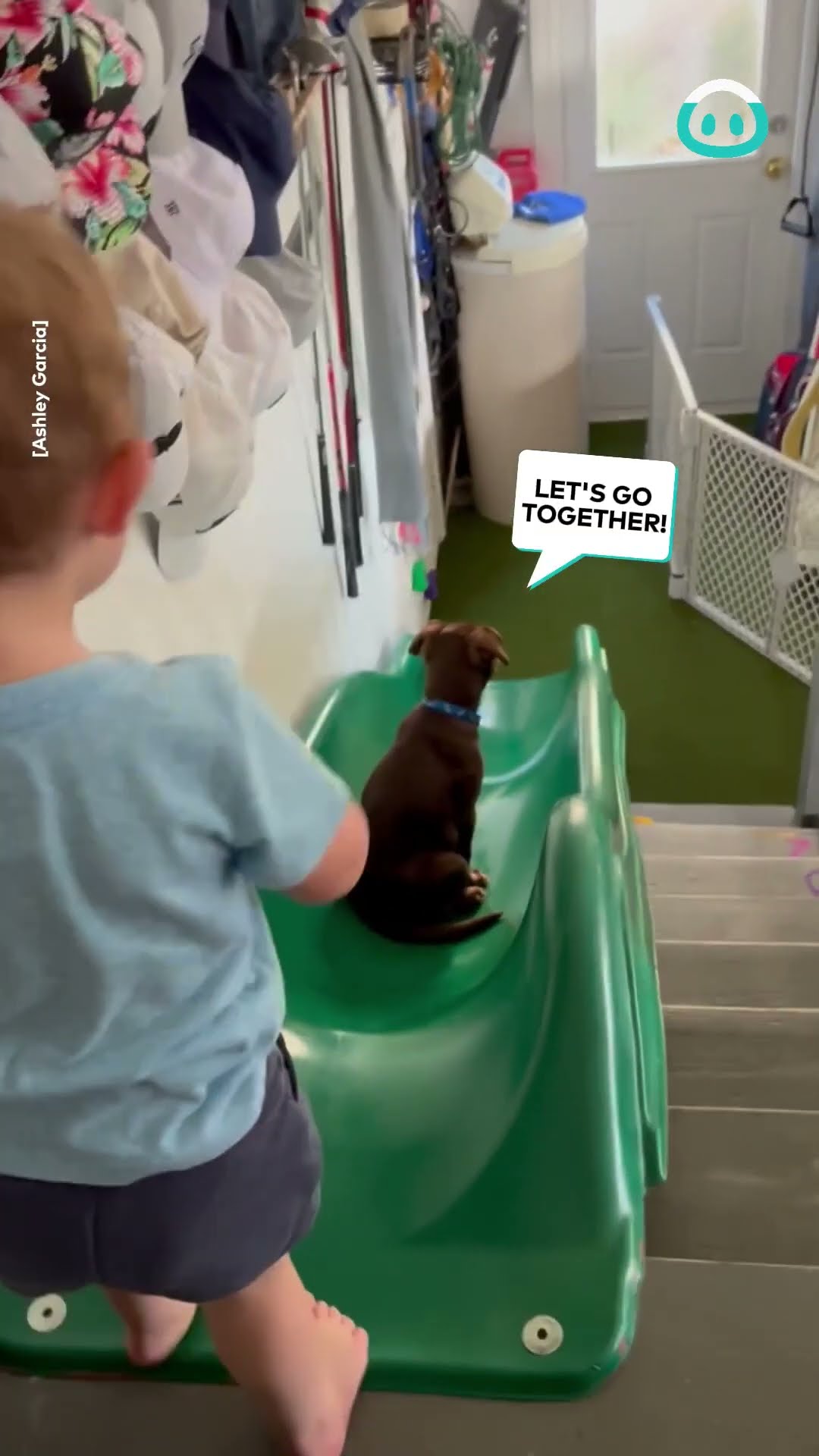 Boy Plays On Slide With Puppy Best Friend || ViralHog