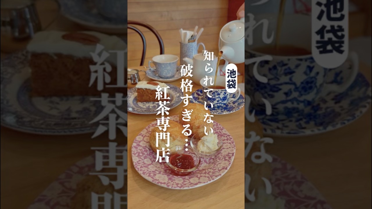 【SNSに載っていない】神コスパの極上紅茶専門店🫖500円…！？