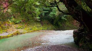 自然の音沢のせせらぎ -5 ⁄ Nature Sounds - The Murmuring of the Mountain Stream (5)