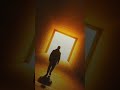 V.AI. - свет