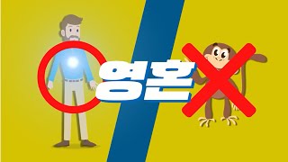 [성경탐구 1편] 성경을 배우는 이유  (생명의말씀선교회) 최근휴목사 영혼몸의 이해 사람과 동물이 다른 점 구원받는 길 사람과 원숭이가 다른 점