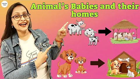 Animal's Babies and their Homes | Animals And Their Young Ones | Animals Babies | Animals Homes |