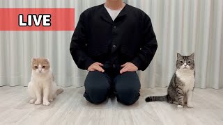 一般ライブ【生配信】一連の動画について下僕からご説明させてください。