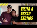 visita a David - @AssadExotics - conociendo algunos de sus bichos