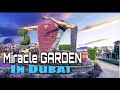 DUBAI MIRACLE GARDEN | FULL  TOUR | THE WORLD’S LARGEST NATURAL GARDEN | DUBAI TOURIST ATTRACTION