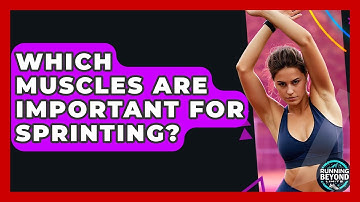 Which Muscles Are Important For Sprinting? - Running Beyond Limits