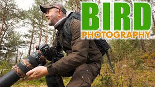 Join me in the search for birds in a little bit wet forest in Norway