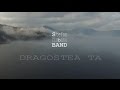 Stefan Ciobanu Band - Dragostea Ta (lyrics)