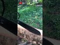 Technique for Splitting Large Logs with a Chainsaw — Straight Cuts, High Precision