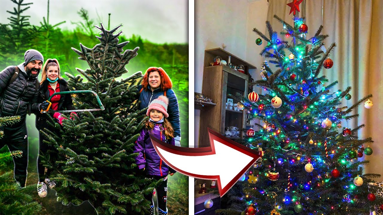 VLOGMAS EP. 2 Árvore de Natal I Familia Quaresma