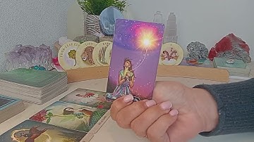 Week 15 to 21 December 