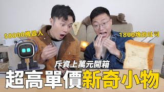 超高單價小廢物開箱！桌上型AI機器人 vs. 會發光的吐司燈！｜什麼意思｜