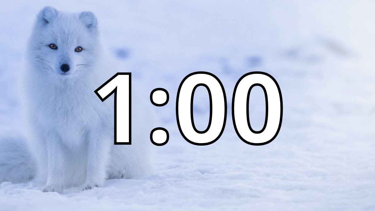 1 Minute Winter Countdown Timer With Music and Alarm (Simple Beep