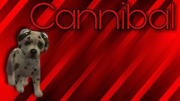 ᴄᴀɴɴɪʙᴀʟ ♡ charity