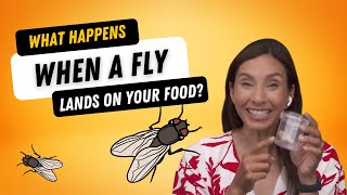 What happens when a fly lands on your food?