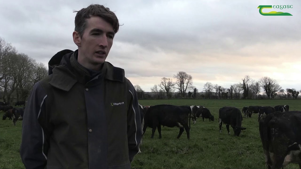 Dara Killeen - Virtual Dairy Conference 2020