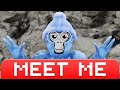 Gorilla Tag MINIGAMES Live - MEET ME editing my fans