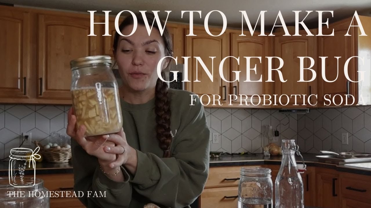 How to Make a Ginger Bug and turn it into Probiotic Soda!