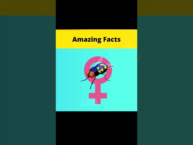 Top 3 amazing facts and stories 🤣🤣😮 @MRINDIANHACKER  @CrazyXYZ  || #shorts || #FactBeast class=