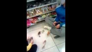 Oğuz Öğretmen Olsaydı Serisi 1 =)