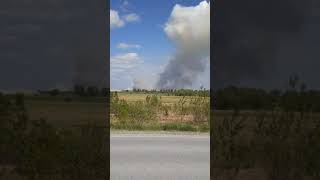 пожар горит лес в тюменской области