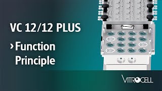 VITROCELL® 12/12 PLUS Function Principle