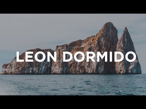 Leon Dormido Galapagos | Ecuador Vlog