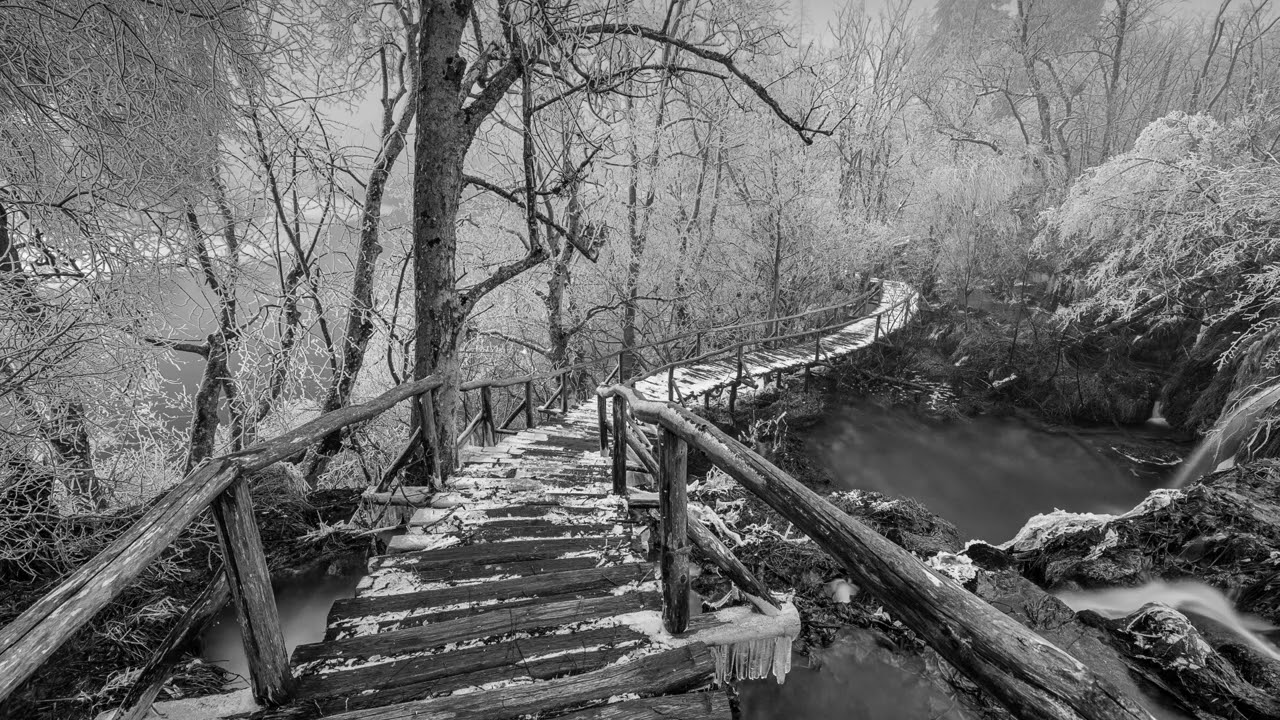 Alex Faldin-Slowtide