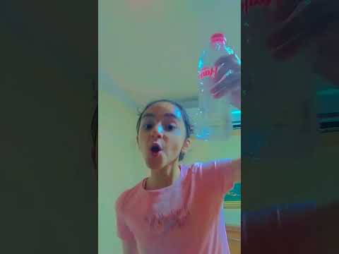 شامبو و زيت ترجمة الاغنيه