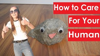 How to Care for Your Human (by my pet rock)