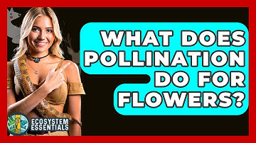 What Does Pollination Do For Flowers? - Ecosystem Essentials