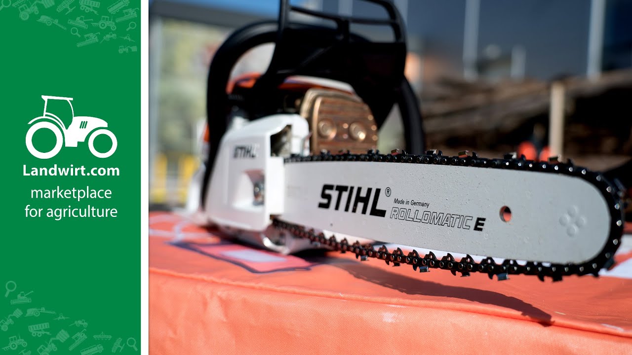 Kettensäge richtig feilen  | landwirt.com